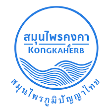 Kongkaherb