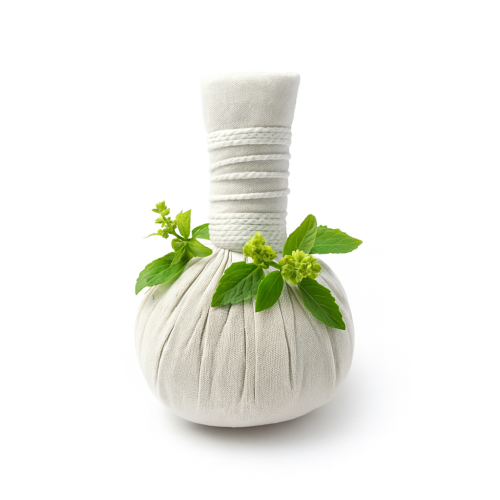 Pochette de massage SPA aux herbes thaïlandaises Maeyai 100 gr