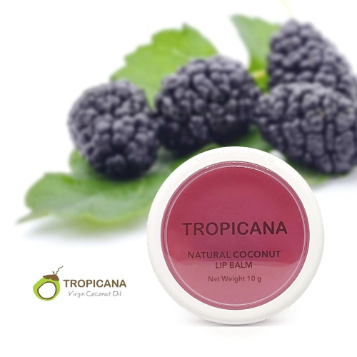 Baume à lèvres Tropicana à l’huile de coco et à la mûre, 10 g
